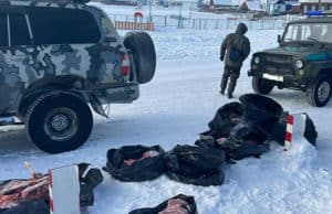 Пограничники вновь задержали браконьеров Пограничники задержали браконьеров