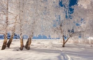 Синоптики прогнозируют умеренные морозы