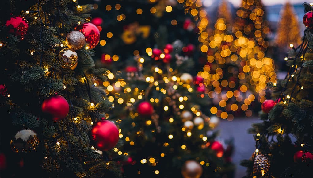 Новогодние елки в Горно-Алтайске начнутся с 23 декабря