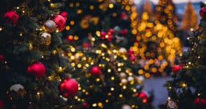 Новогодние елки в Горно-Алтайске начнутся с 23 декабря