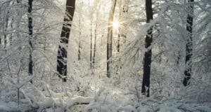 Зимнее солнцестояние в Сибири наступит 22 декабря