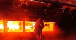 Десятки коров и телят погибли на пожаре в Усть-Канском районе