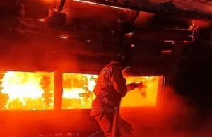 Десятки коров и телят погибли на пожаре в Усть-Канском районе
