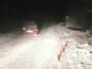 Не справилась с управлением, врезалась в опору ЛЭП и попала в больницу 1 января сельчанка врезалась в опору ЛЭП и попала в больницу