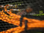 Интернет летает: доля пользователей скоростного интернета «Ростелекома» в Республике Алтай составила 82% 001Интернет летает: доля пользователей скоростного интернета «Ростелекома» в Республике Алтай составила 82%