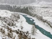 Прогноз погоды на начало февраля: умеренные морозы Прогноз погоды на начало февраля: умеренные морозы