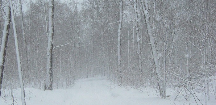 Четверо мужчин на двух снегоходах пропали в Усть-Коксинском районе