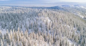 Пропавших в Усть-Коксинском районе ищут с помощью снегоболотохода
