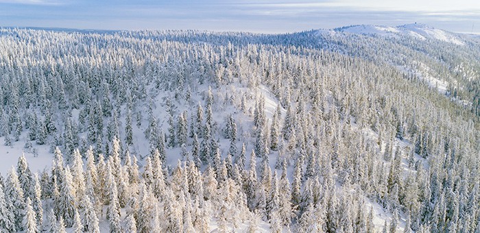 Пропавших в Усть-Коксинском районе ищут с помощью снегоболотохода