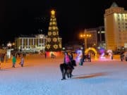 Горожане на новогодних каникулах совершили более сотни административных правонарушений Горожане на новогодних каникулах совершили более сотни административных правонарушений