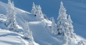 В Китае «столицей снега» назначили Алтай