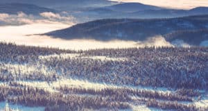В окрестностях Усть-Муты пропал местный житель