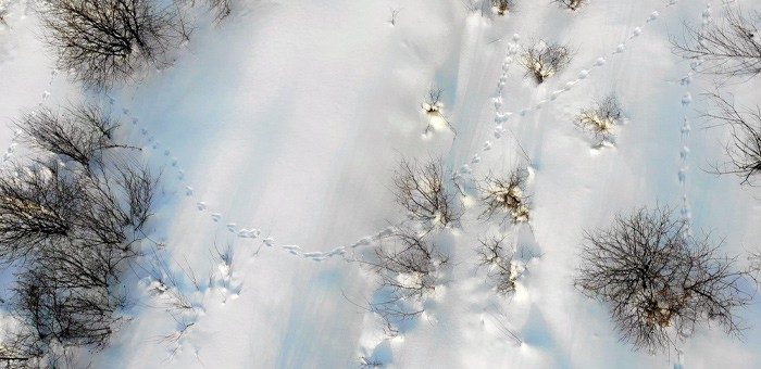 Прогноз погоды: снег и небольшие морозы