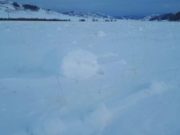 «Снежные рулетики» заметили еще в одном районе Республики Алтай (видео) Снежные «рулетики» заметили еще в одном районе Республики Алтай