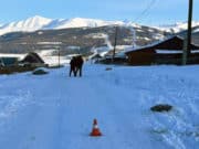 В селе Беляши водитель насмерть задавил односельчанина, лежавшего на дороге В селе Беляши водитель насмерть задавил односельчанина, лежавшего на дороге