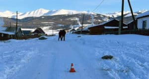 В селе Беляши водитель насмерть задавил односельчанина, лежавшего на дороге