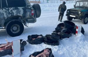 Подтвердился факт незаконной охоты на козерогов Подтвердился факт незаконной охоты на козерогов
