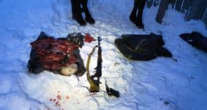 В Республике Алтай задержали группу браконьеров из других регионов