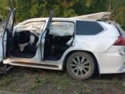 Бизнесмен из Республики Алтай незаконно застрелил и разделал лося в соседнем регионе Бизнесмен из Республики Алтай незаконно застрелил и разделал лося в соседнем регионе