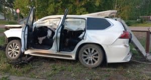 Бизнесмен из Республики Алтай незаконно застрелил и разделал лося в соседнем регионе Бизнесмен из Республики Алтай незаконно застрелил и разделал лося в соседнем регионе
