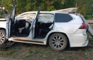 Бизнесмен из Республики Алтай незаконно застрелил и разделал лося в соседнем регионе
