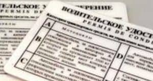 Женщину судили за поддельные права: экзамен за нее сдала сестра Автоледи предстала перед судом за поддельные права: экзамен за нее сдала сестра