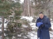 Браконьер срубил ели в Шебалинском районе, возбуждено уголовное дело Браконьер срубил ели в Шебалинском районе: возбуждено уголовное дело