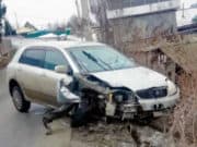 Гололед – такая гадость: горожанка врезалась в дерево в Горно-Алтайске Гололед – такая гадость: горожанка врезалась в дерево в Горно-Алтайске