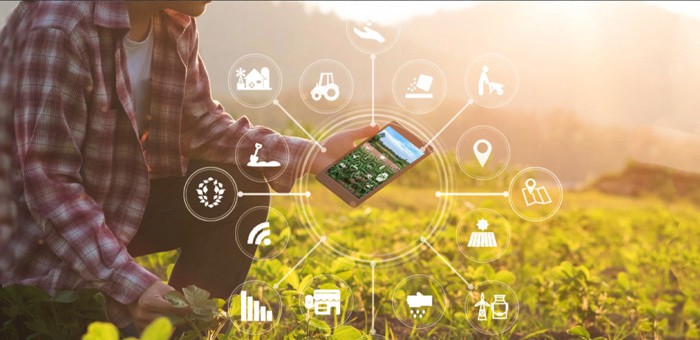 Цифровые инструменты Россельхозбанка помогают фермерам Алтая в проведении посевной