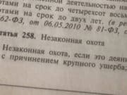Житель Тувы, застреливший марала в Алтайском заповеднике, получил условный срок Житель Тувы, застреливший марала в Алтайском заповеднике, получил условный срок