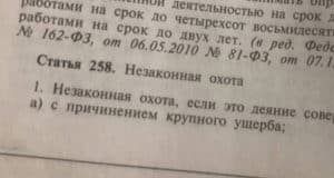 Житель Тувы, застреливший марала в Алтайском заповеднике, получил условный срок Житель Тувы, застреливший марала в Алтайском заповеднике, получил условный срок