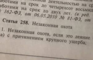 Житель Тувы, застреливший марала в Алтайском заповеднике, получил условный срок Житель Тувы, застреливший марала в Алтайском заповеднике, получил условный срок