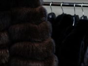 В Горно-Алтайске осужден вор, который пытался продать украденную полтора года назад шубу В Горно-Алтайске осужден вор, который пытался продать украденную полтора года назад шубу