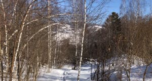 Прогноз погоды: будет достаточно тепло Прогноз погоды: будет достаточно тепло