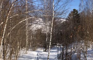 Прогноз погоды: будет достаточно тепло