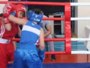 Республиканское первенство по боксу прошло в Усть-Кане Республиканское первенство по боксу прошло в Усть-Кане