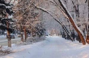 Прогноз погоды: сильные осадки и ветер, а затем похолодание