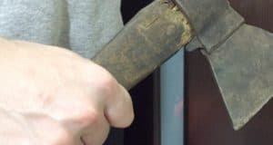В Чойском районе «черные лесорубы» уничтожили 25 деревьев