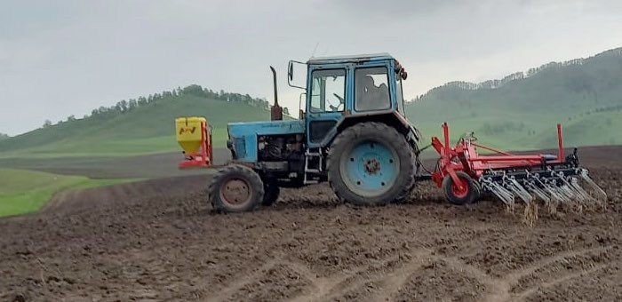 Посевная площадь в Республике Алтай составит 105 тыс. га