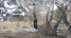 Названа причина травяного пожара в Горно-Алтайске