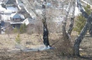 Названа причина травяного пожара в Горно-Алтайске