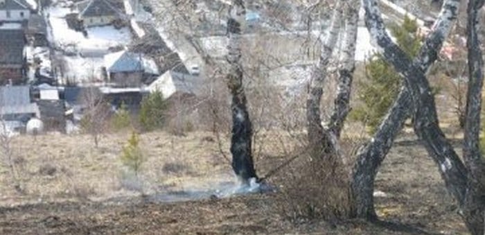 Названа причина травяного пожара в Горно-Алтайске