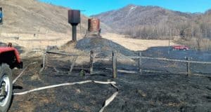 В Шебалинском районе от огня спасли жилые дома и лес