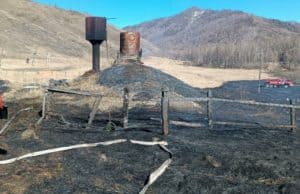 В Шебалинском районе от огня спасли жилые дома и лес