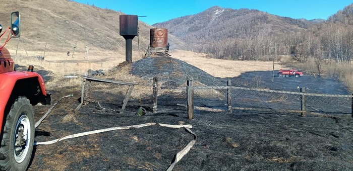 В Шебалинском районе от огня спасли жилые дома и лес