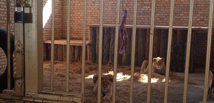 В Республике Алтай появился зоопарк