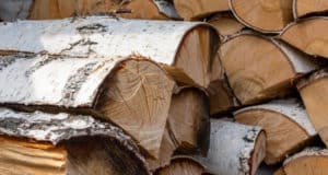 «Наломал дров»: в Улаганском районе поймали «черного» лесоруба
