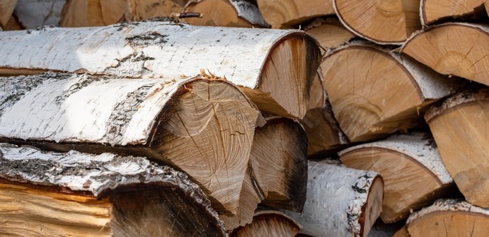 «Наломал дров»: в Улаганском районе поймали «черного лесоруба»