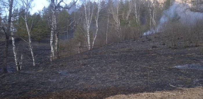 Два лесных пожара произошло в Республике Алтай за неделю