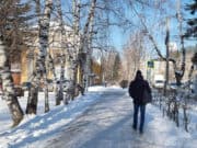 Солнечную погоду без осадков и потепление прогнозируют синоптики